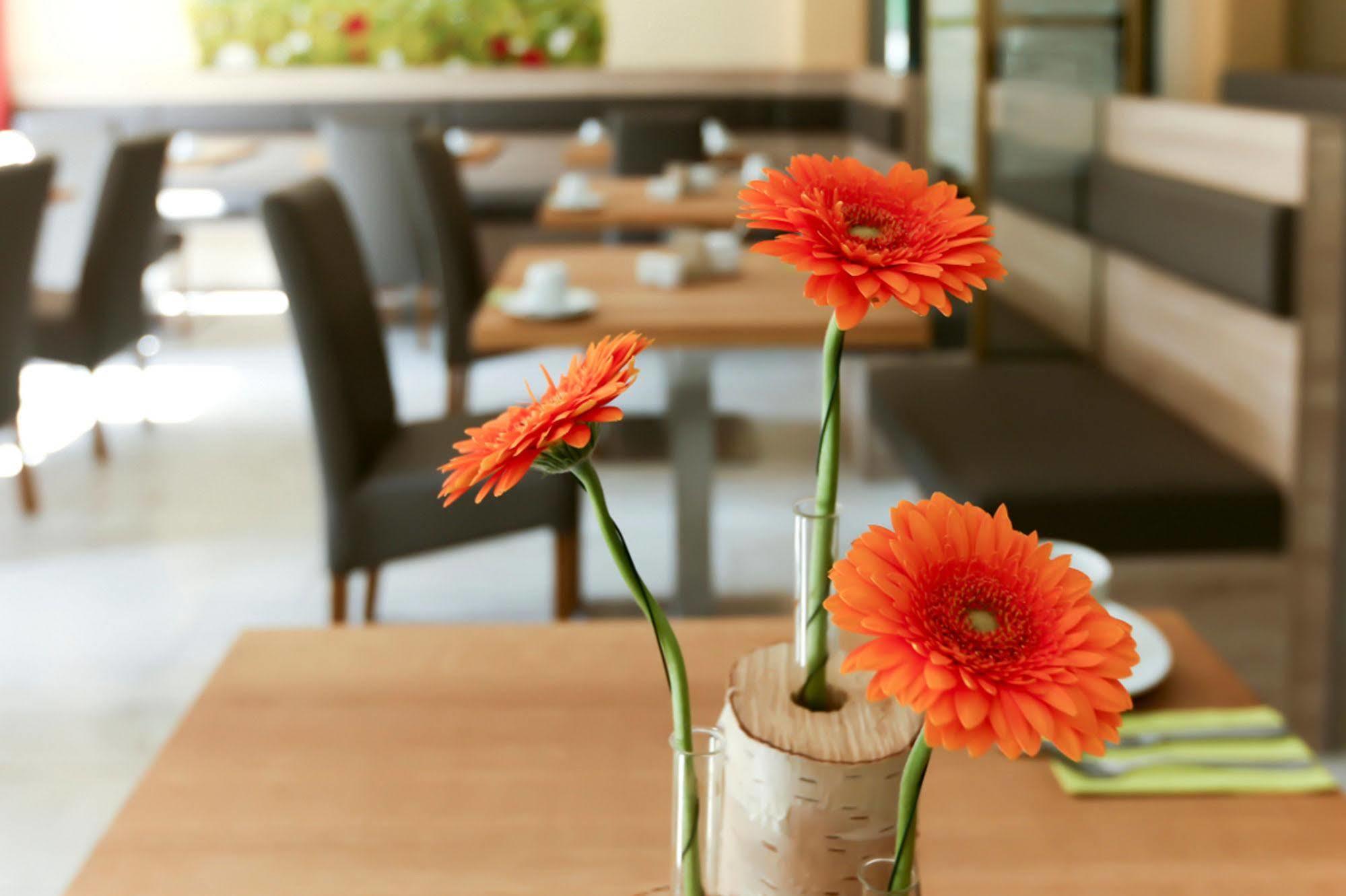 Hotel Garni Grundmuehle Bad Schandau Εξωτερικό φωτογραφία
